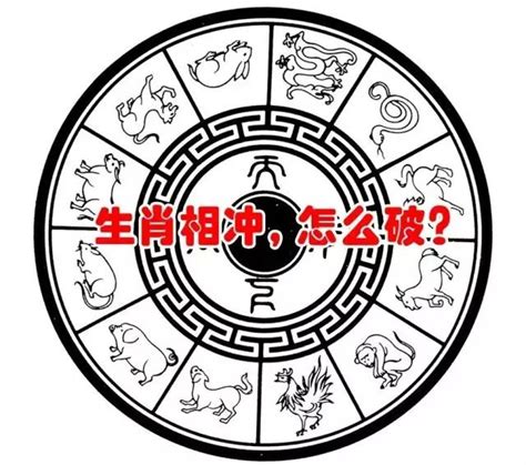 鼠跟狗合嗎|準到恐怖！十二生肖相生相剋表，相剋者千萬別碰！趕。